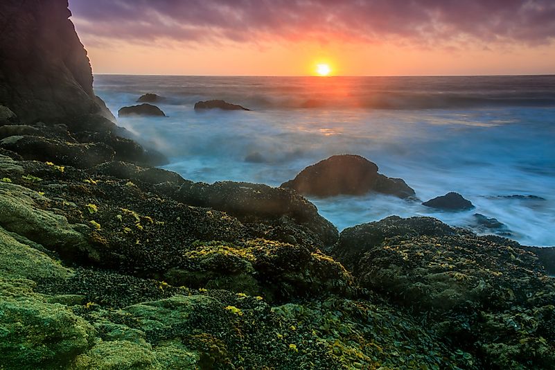 #1 Gray Whale Cove State Beach