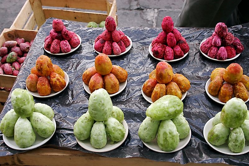 #4 Uses of Cacti by Humans