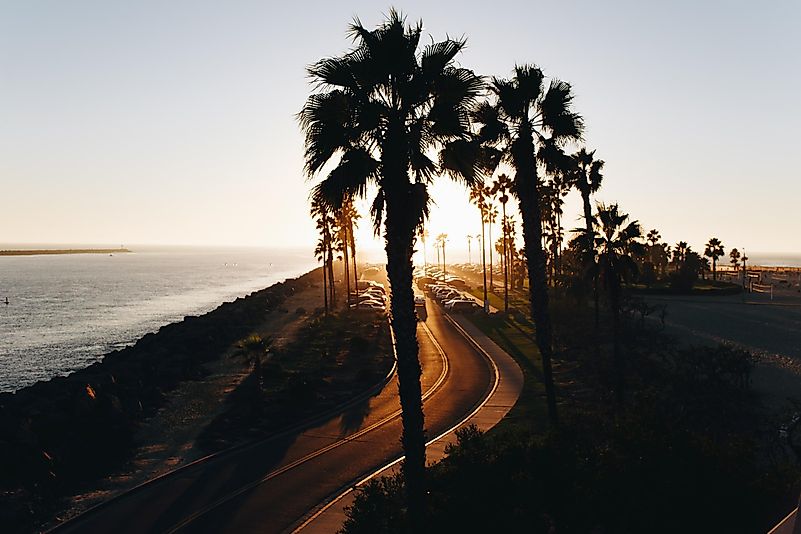 Photo by Matthew Hamilton on Unsplash