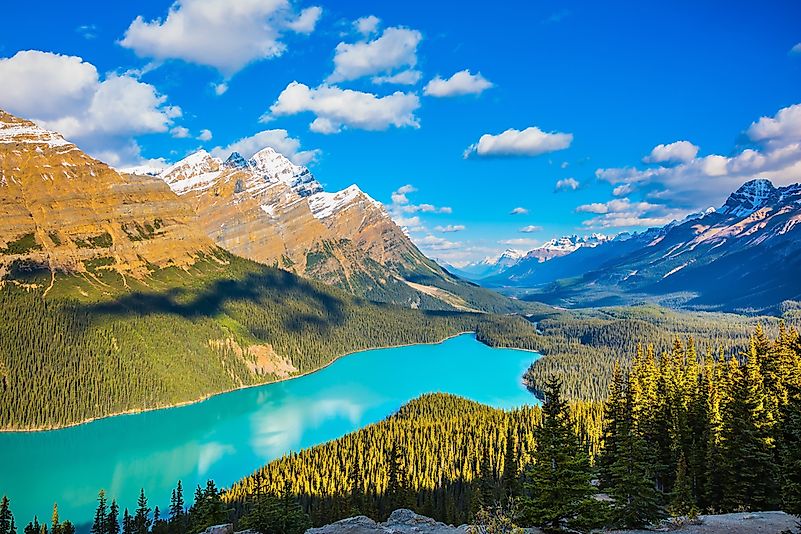 Lake Peyto, Banff National Park. Lake Peyto, Banff National Park.