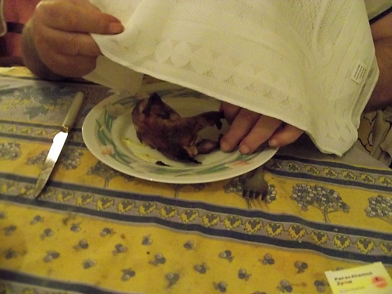 Consumption of the ortolan with a napkin over the face. Image credit: Marianne Casamance/Wikimedia.org Consumption of the ortolan with a napkin over the face. Image credit: Marianne Casamance/Wikimedia.org