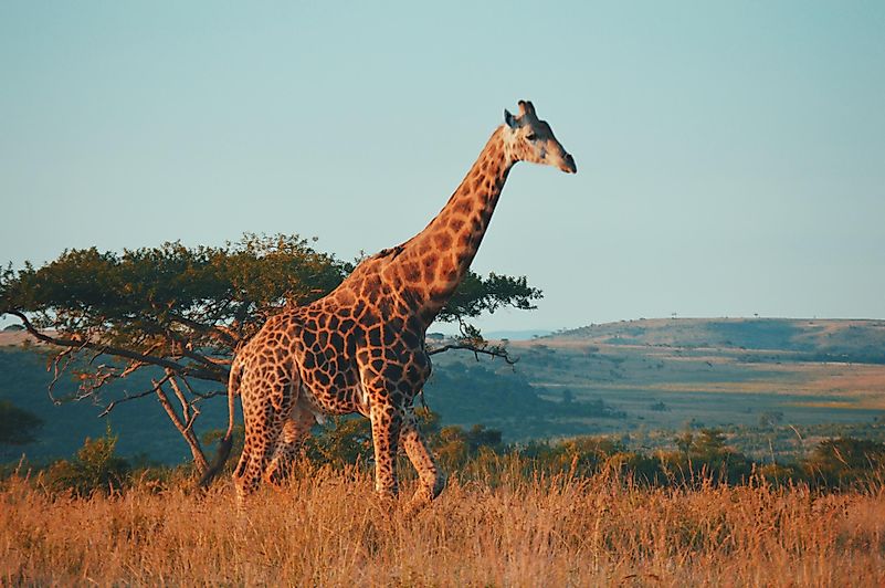 Photo by Kelly Arnold on Unsplash
