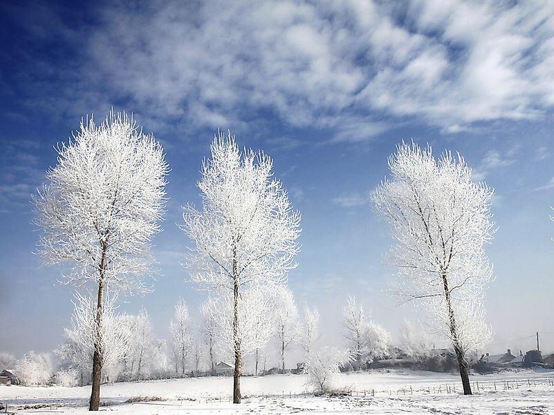 #5 Icy Spectacle Of Jilin