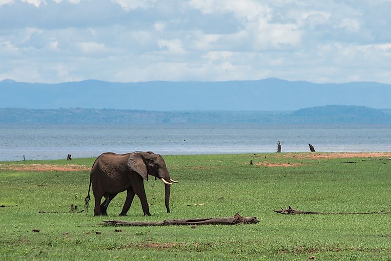 #9 Matusadona National Park