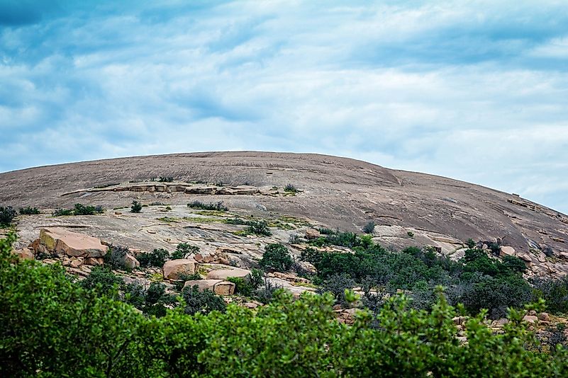 Cedar Scrub shrubland ecoregion in Enchanted Rock State Park, Texas.