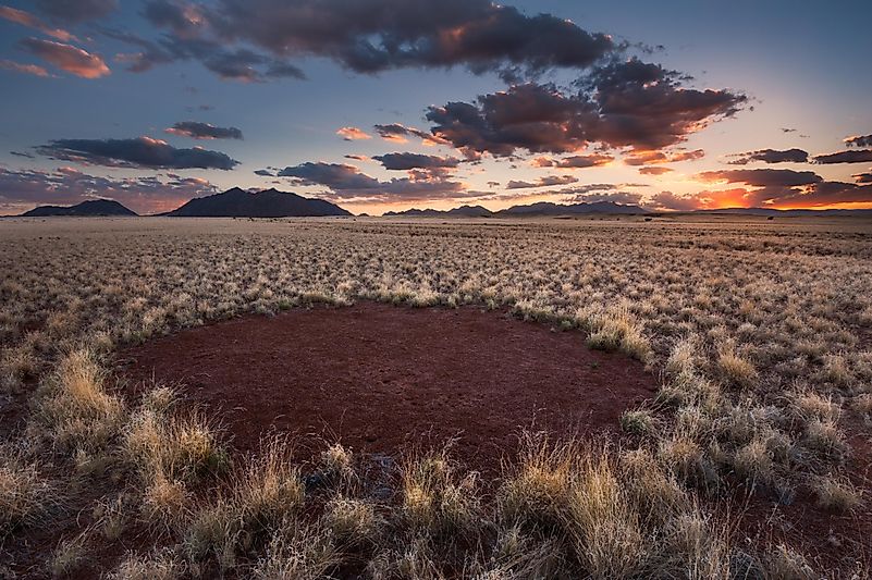 #4 Fairy Circles, Namibia