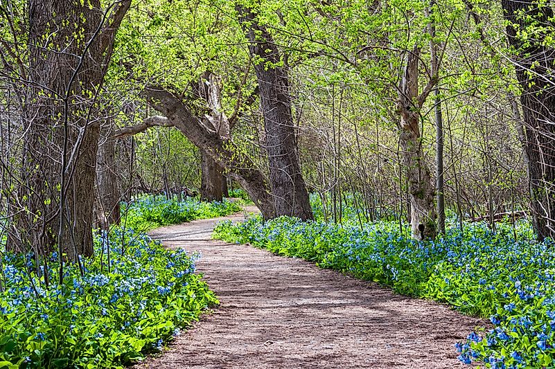 #9 Potomac Heritage National Scenic Trail