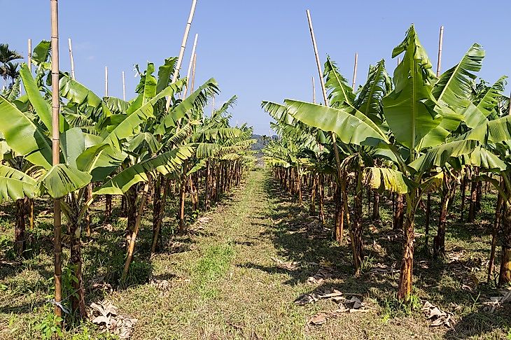 #1 Environmental Threats and Territorial Disputes