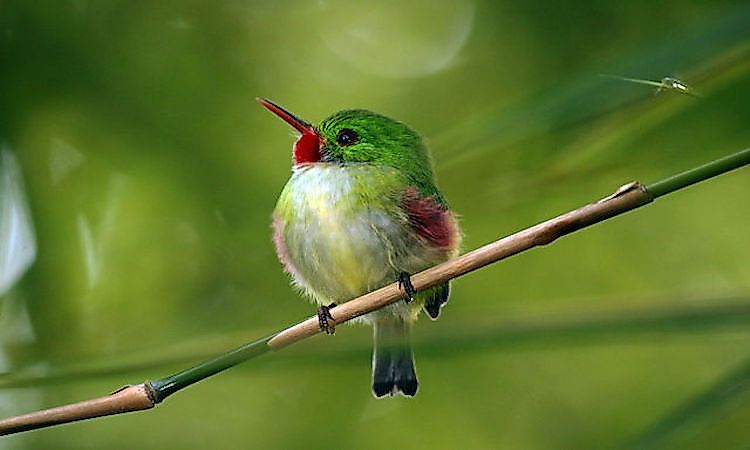#3 Habitat And Biodiversity