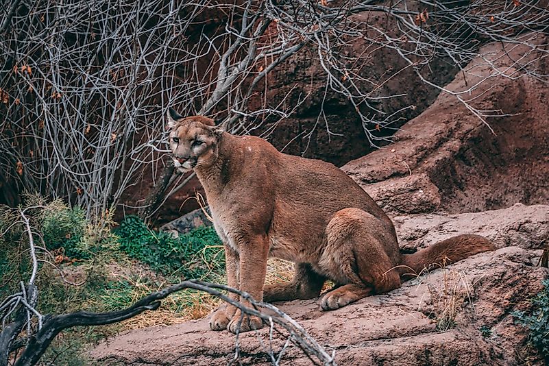 Photo by Ian Williams on Unsplash