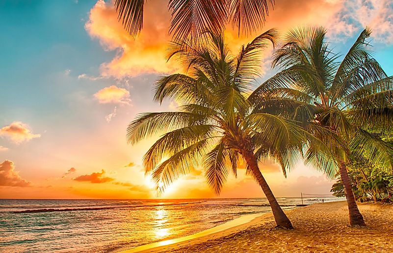 Barbados Barbados