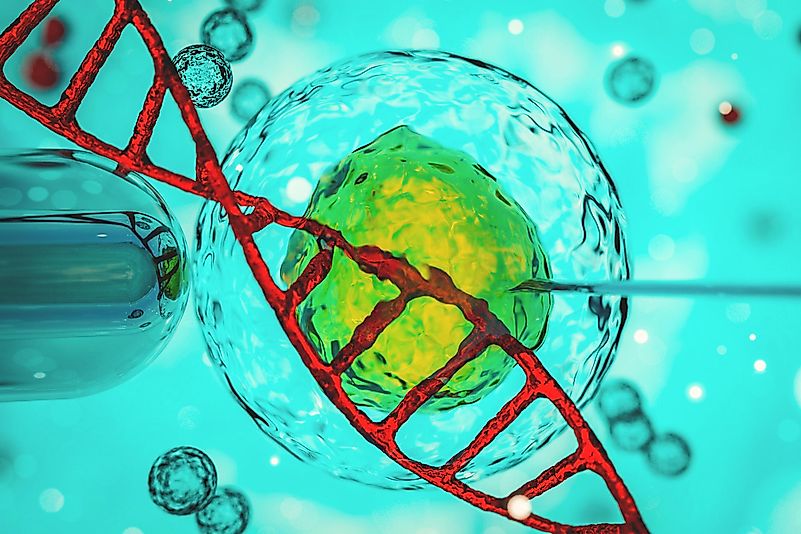 The purpose of this experiment was to make the babies immune to HIV. The purpose of this experiment was to make the babies immune to HIV.