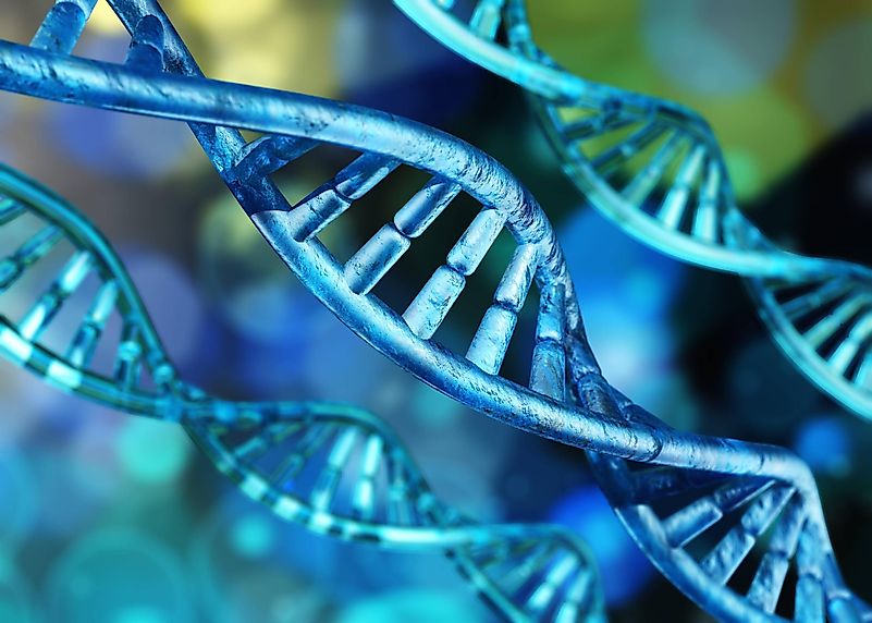 In 2003, the Human Genome Project completed super important research. In 2003, the Human Genome Project completed super important research.