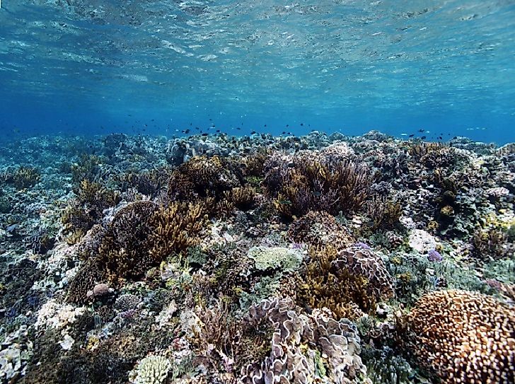 #2 Natural Habitats and Biodiversity -