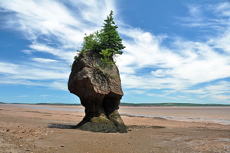 Hopewell rocks at the Bay of Fundy. Hopewell rocks at the Bay of Fundy.