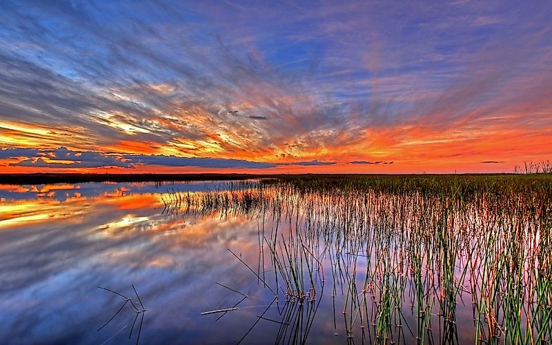 #6 Everglades National Park