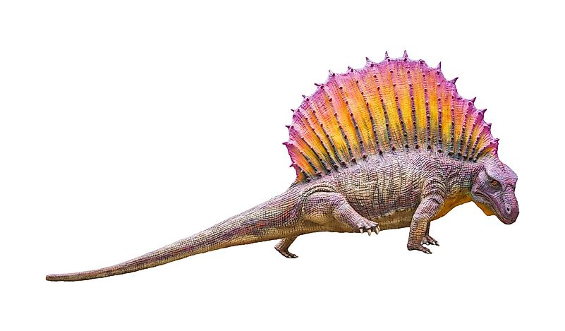 The synapsids are considered to be the most important animals of this period. The synapsids are considered to be the most important animals of this period.