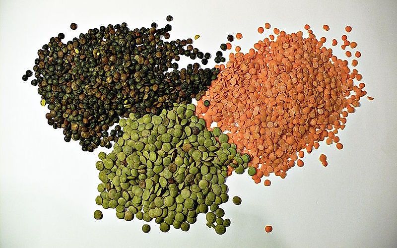 #4 Lentil