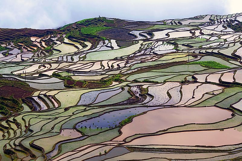 #1 Yuanyang, China