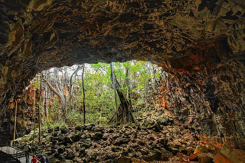 #1 Undara Lava Tubes