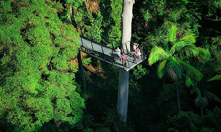 #8 Tamborine Rainforest Skywalk, Queensland, Australia -