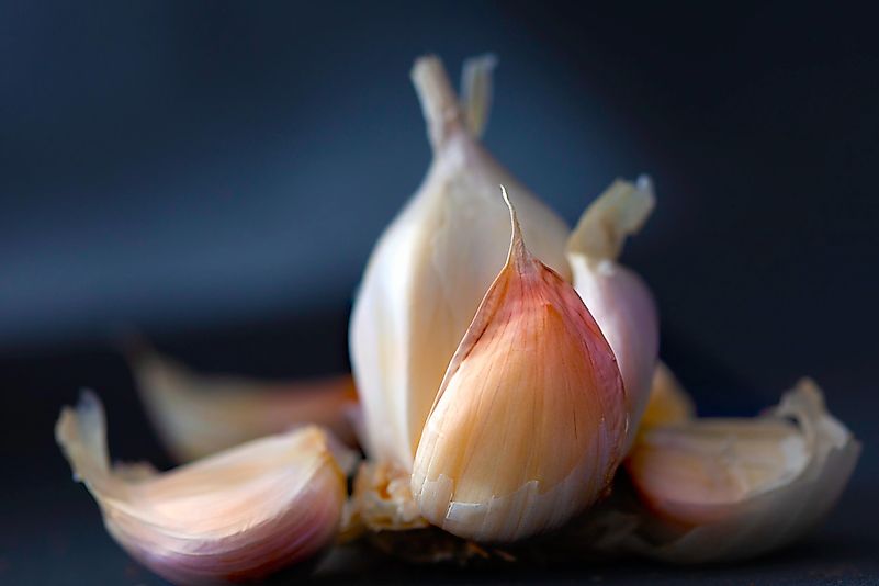 Garlic contains allicin, which can greatly boost your immune system. Photo by Michele Blackwell on Unsplash