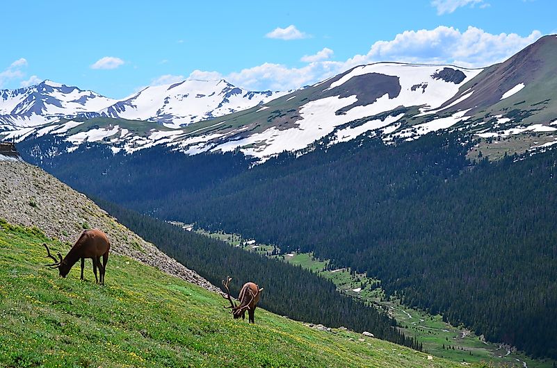 #6 Rocky Mountain National Park