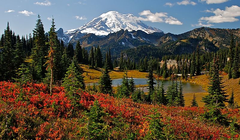 #3 Mount Rainier National Park