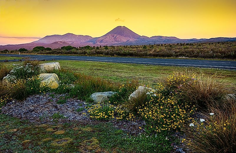 The stunning landscapes of New Zealand served as the perfect set for Lord of the Rings. The stunning landscapes of New Zealand served as the perfect set for Lord of the Rings.
