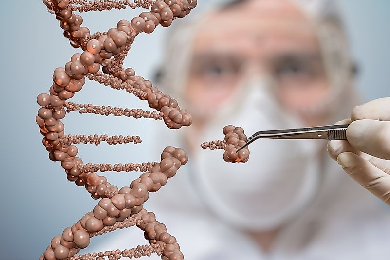 Genetic engineering and gene manipulation.