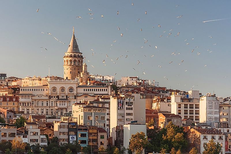 Photo by Anna on Unsplash