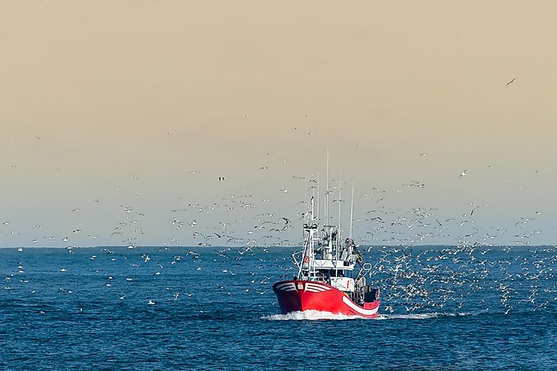 # 5 Trabalhadores da pesca 
