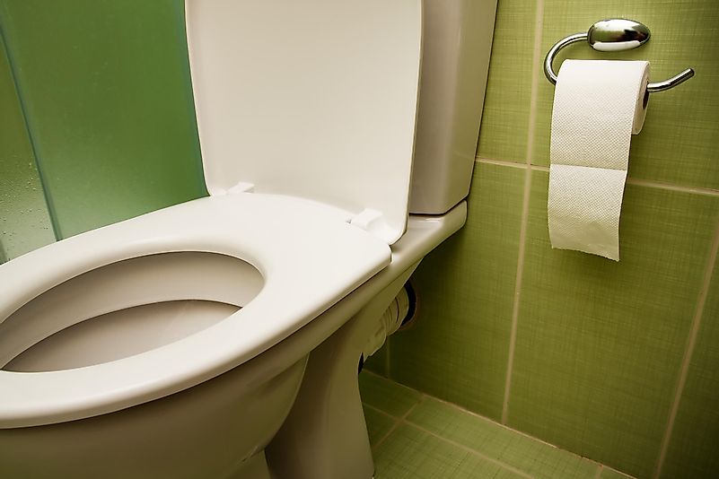 Toilet seats are a gathering place for a large number of germs and bacteria.