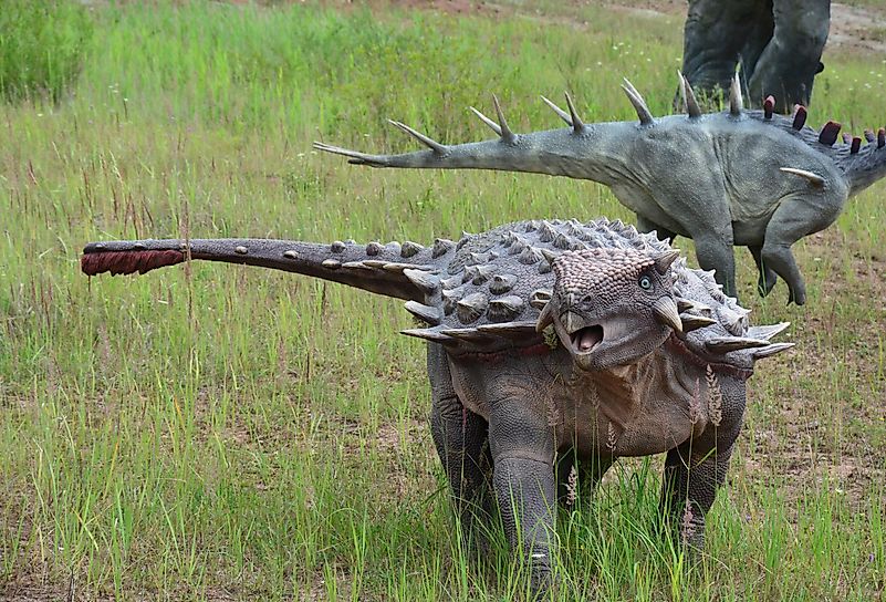 From this group, a large number of animals we know today developed, such as turtles, crocodiles, and dinosaurs. Image credit: Ksena Shu / Shutterstock.com From this group, a large number of animals we know today developed, such as turtles, crocodiles, and dinosaurs. Image credit: Ksena Shu / Shutterstock.com