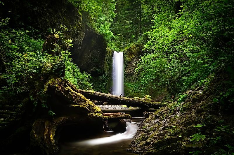 #10 Columbia River Gorge