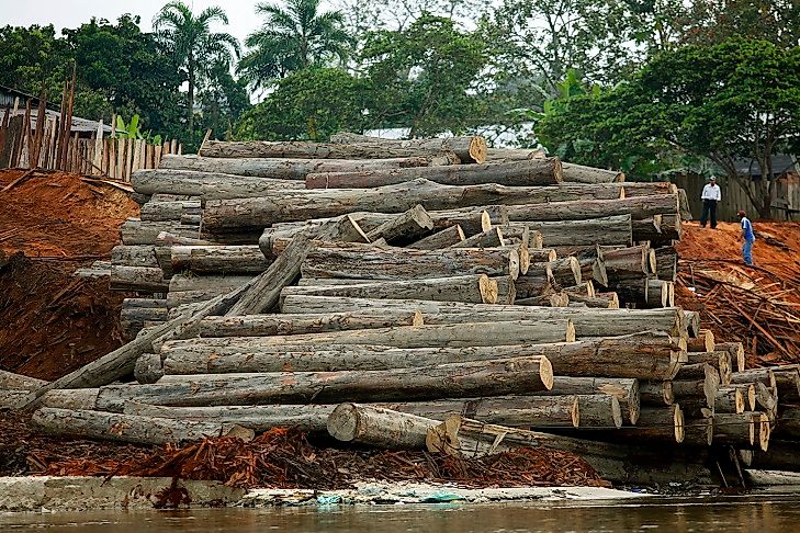 #2 Effects on Habitat and Biodiversity