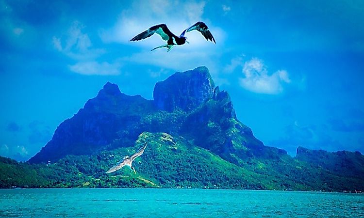 #3 Climate, Habitat, And Biodiversity -