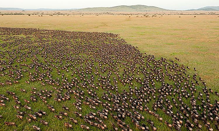 #4 Serengeti National Park -