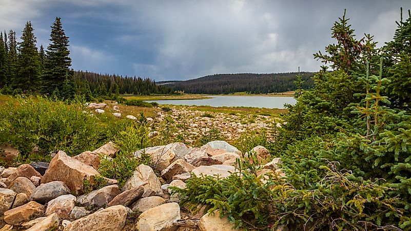 #2 Medicine Bow – Routt