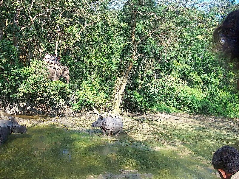 Tourists watching a rhino during elephant safari at the Chitwan National Park. Image credit: Sam Sumraht Thapa/Wikimedia.org Tourists watching a rhino during elephant safari at the Chitwan National Park. Image credit: Sam Sumraht Thapa/Wikimedia.org