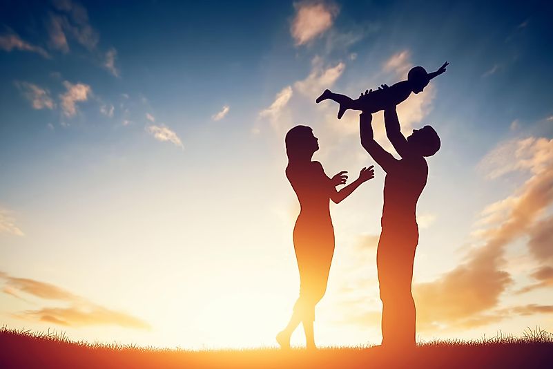 The technology behind this way of creating life is stunning. The technology behind this way of creating life is stunning.