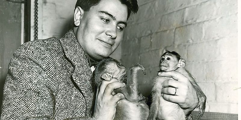 The Peoples Temple was a cult founded by Jim Jones in 1955. Image credit: indystar.com The Peoples Temple was a cult founded by Jim Jones in 1955. Image credit: indystar.com