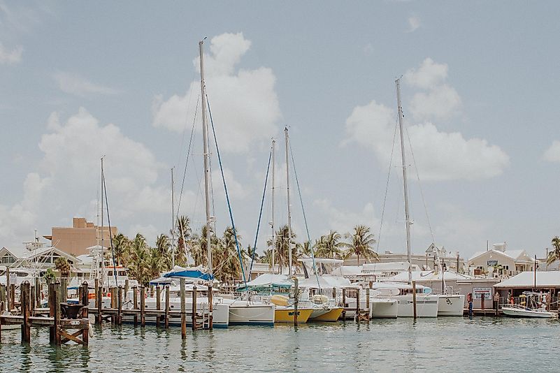 Photo by Amber Kipp on Unsplash