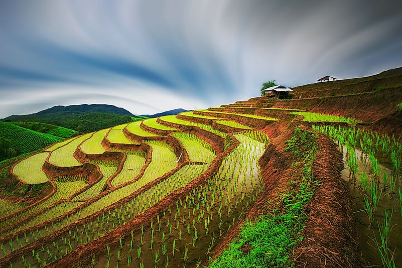 The Mae-Jam rice terraces in Thailand. The Mae-Jam rice terraces in Thailand.