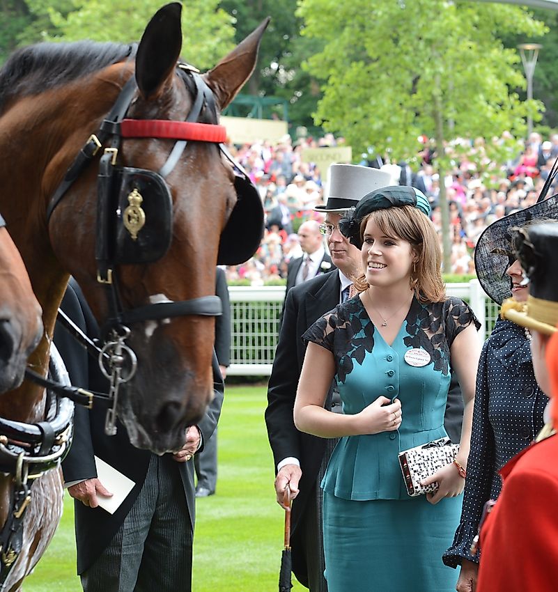Princess Eugenie of York. Image credit: Featureflash Photo Agency / Shutterstock.com Princess Eugenie of York. Image credit: Featureflash Photo Agency / Shutterstock.com