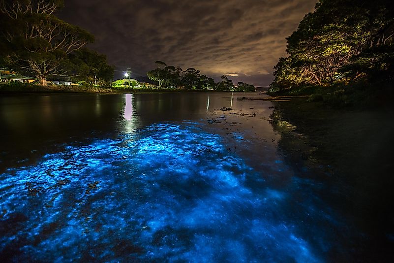 #7 Bioluminescent Waves, Maldives