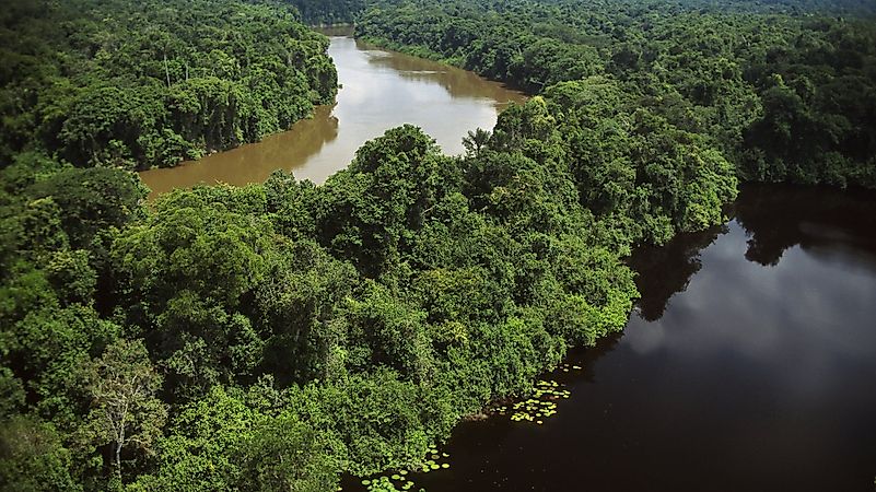 Often considered to be “the most isolated man on the planet,” this man makes up for an entire tribe by himself. Image credit: telegraph.co.uk Often considered to be “the most isolated man on the planet,” this man makes up for an entire tribe by himself. Image credit: telegraph.co.uk