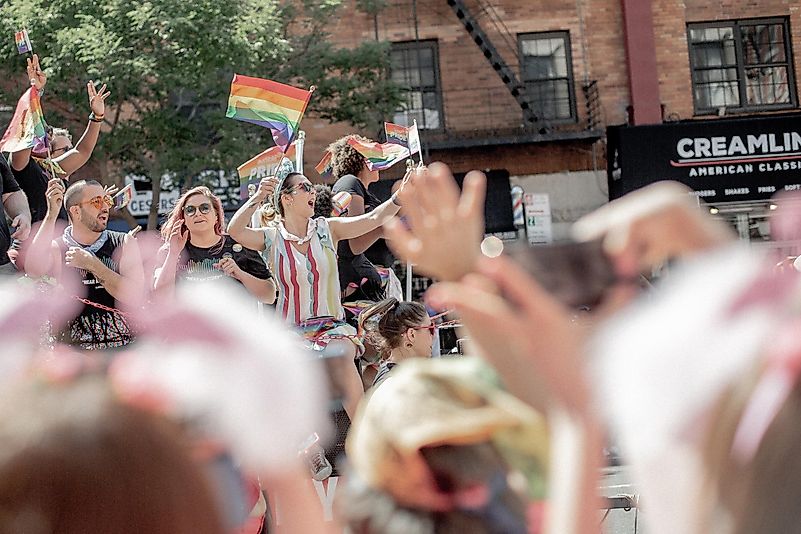 Queer is an umbrella term that refers to any sort of gender or sexual minority. Photo by Brian Kyed on Unsplash