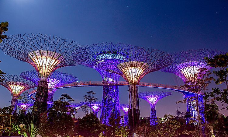 #6 Supertree Grove, Singapore -
