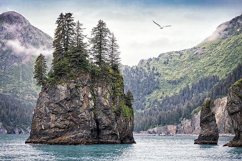 #5 Kenai Fjords National Park